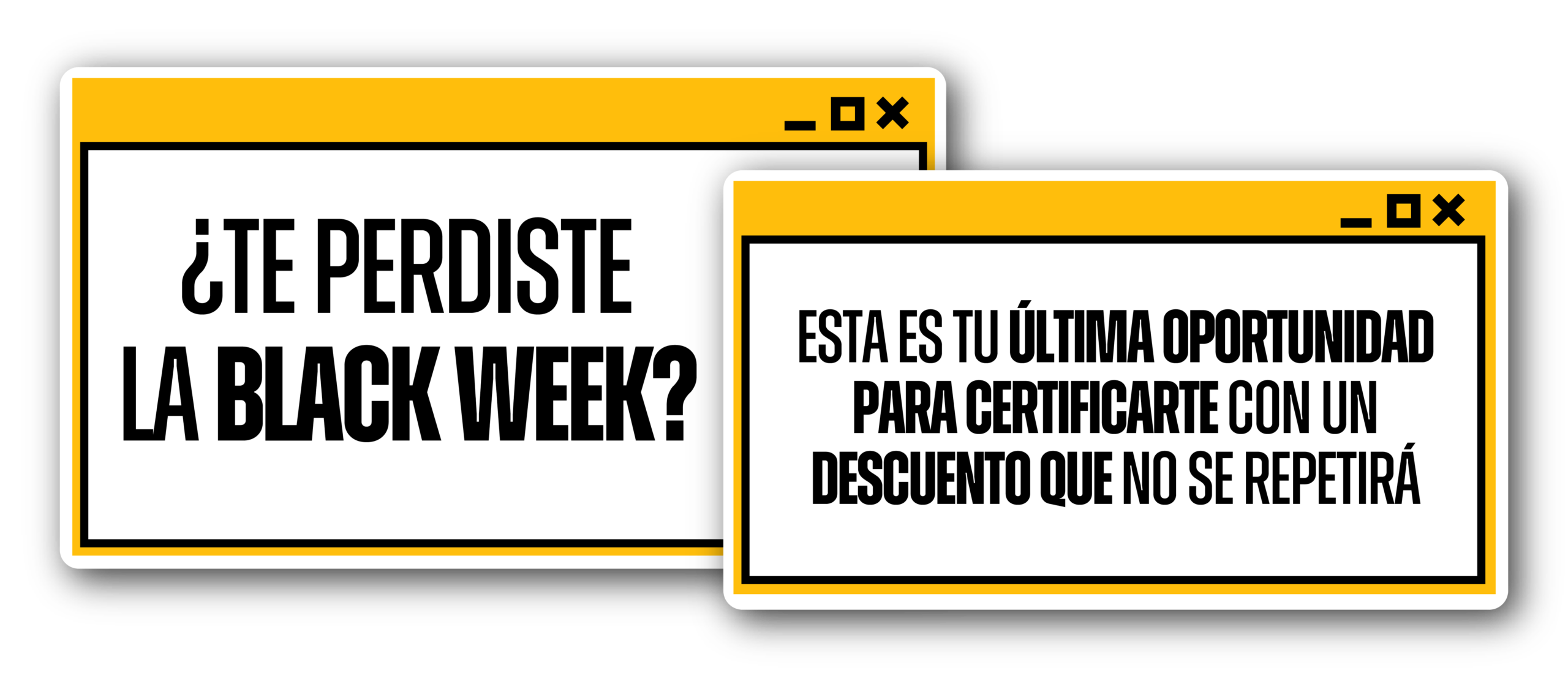 mockup-4-6560dcda87be9