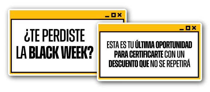 mockup-4-6560dcda87be9